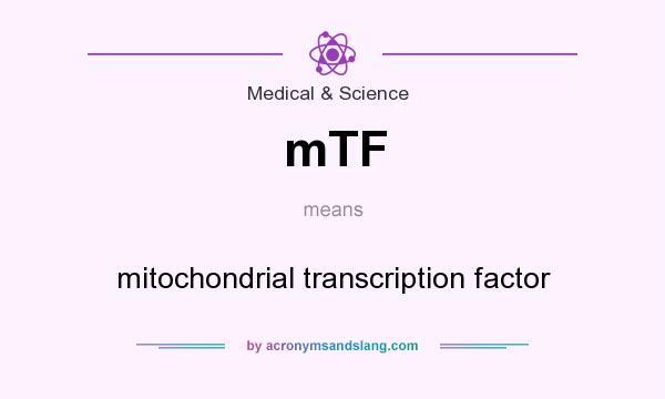 What does mTF mean? It stands for mitochondrial transcription factor