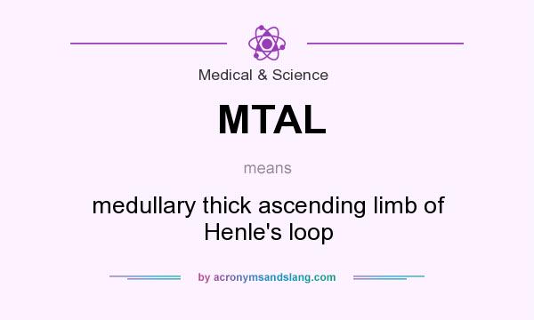 What does MTAL mean? It stands for medullary thick ascending limb of Henle`s loop