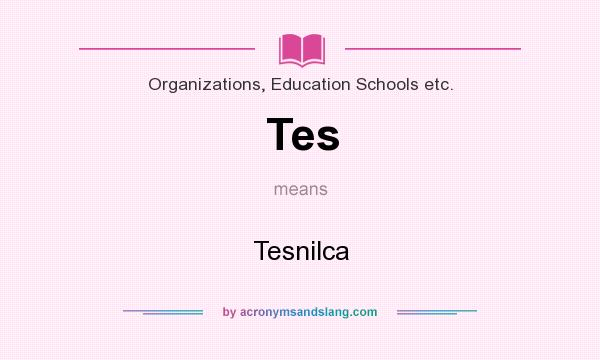 What does Tes mean? It stands for Tesnilca