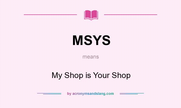 What does MSYS mean? It stands for My Shop is Your Shop