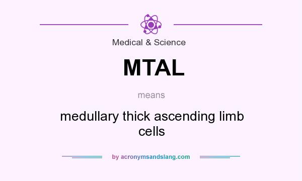 What does MTAL mean? It stands for medullary thick ascending limb cells