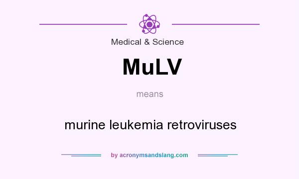 What does MuLV mean? It stands for murine leukemia retroviruses