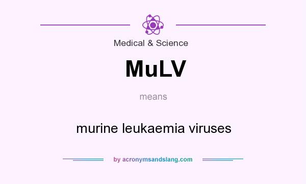 What does MuLV mean? It stands for murine leukaemia viruses