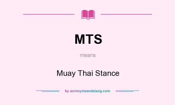 What does MTS mean? It stands for Muay Thai Stance
