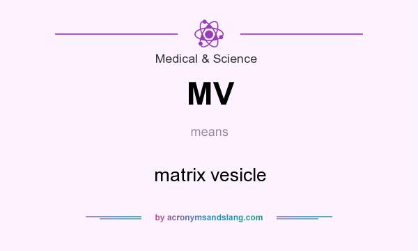 What does MV mean? It stands for matrix vesicle