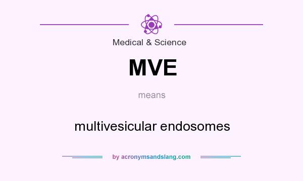 What does MVE mean? It stands for multivesicular endosomes