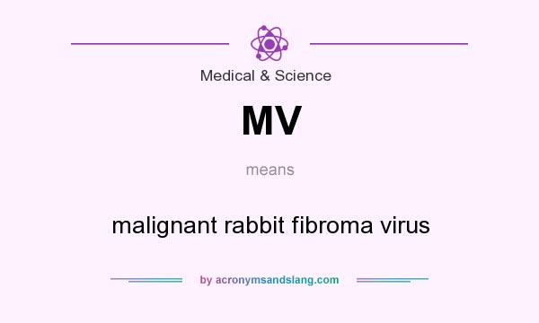 What does MV mean? It stands for malignant rabbit fibroma virus