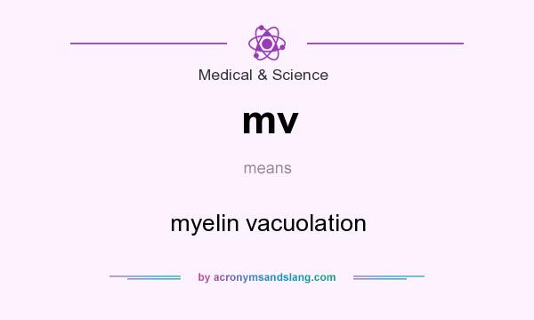 What does mv mean? It stands for myelin vacuolation