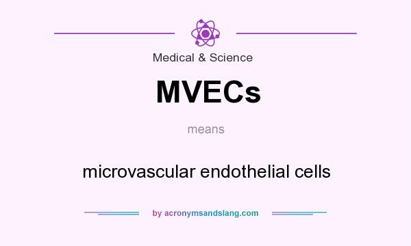 What does MVECs mean? It stands for microvascular endothelial cells