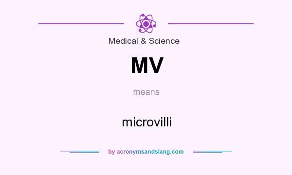 What does MV mean? It stands for microvilli
