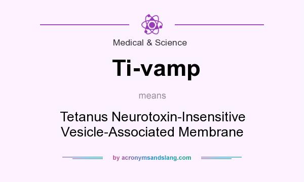 What does Ti-vamp mean? It stands for Tetanus Neurotoxin-Insensitive Vesicle-Associated Membrane