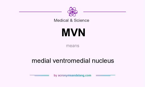 What does MVN mean? It stands for medial ventromedial nucleus