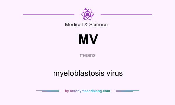 What does MV mean? It stands for myeloblastosis virus