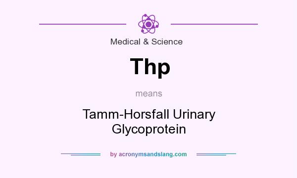 What does Thp mean? It stands for Tamm-Horsfall Urinary Glycoprotein
