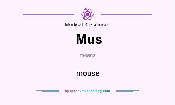 What does Mus mean? It stands for mouse