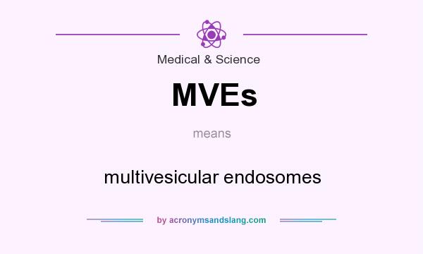 What does MVEs mean? It stands for multivesicular endosomes