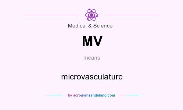 What does MV mean? It stands for microvasculature