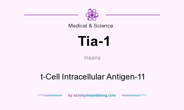 What does Tia-1 mean? It stands for t-Cell Intracellular Antigen-11