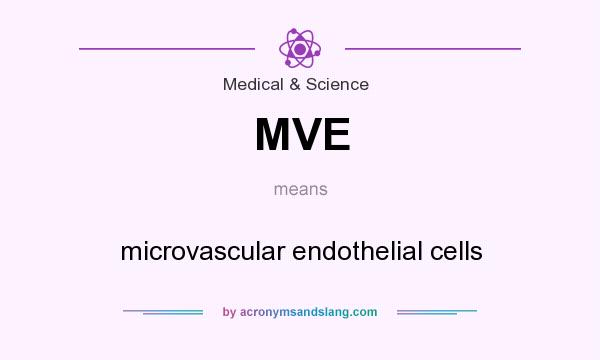 What does MVE mean? It stands for microvascular endothelial cells