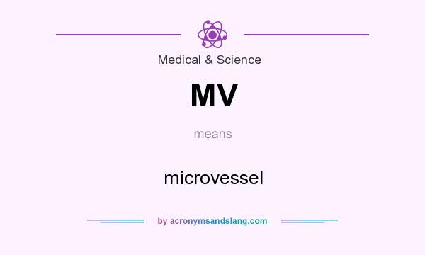 What does MV mean? It stands for microvessel