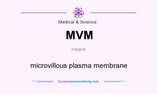 What does MVM mean? It stands for microvillous plasma membrane