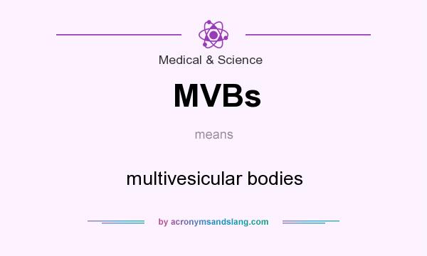 What does MVBs mean? It stands for multivesicular bodies