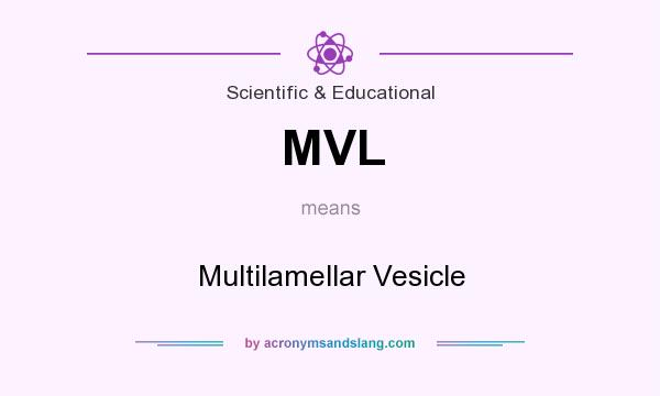 What does MVL mean? It stands for Multilamellar Vesicle