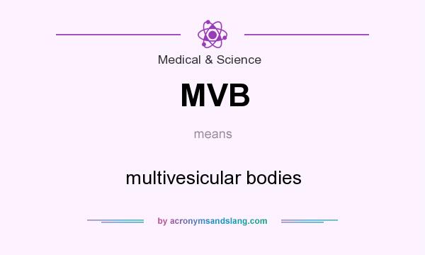 What does MVB mean? It stands for multivesicular bodies