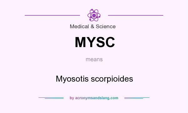 What does MYSC mean? It stands for Myosotis scorpioides