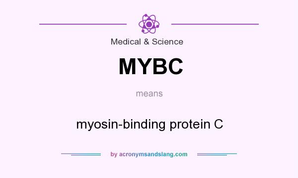 What does MYBC mean? It stands for myosin-binding protein C