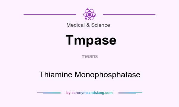 What does Tmpase mean? It stands for Thiamine Monophosphatase