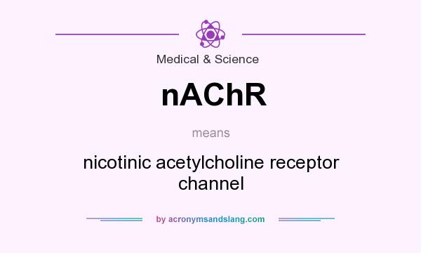 What does nAChR mean? It stands for nicotinic acetylcholine receptor channel