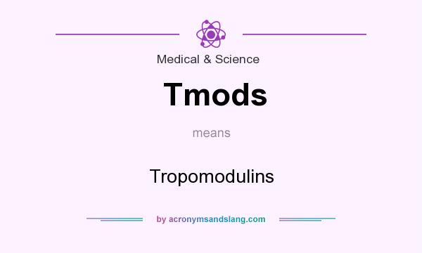 What does Tmods mean? It stands for Tropomodulins