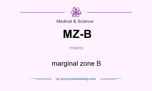 What does MZ-B mean? It stands for marginal zone B