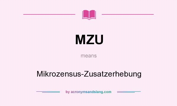 What does MZU mean? It stands for Mikrozensus-Zusatzerhebung