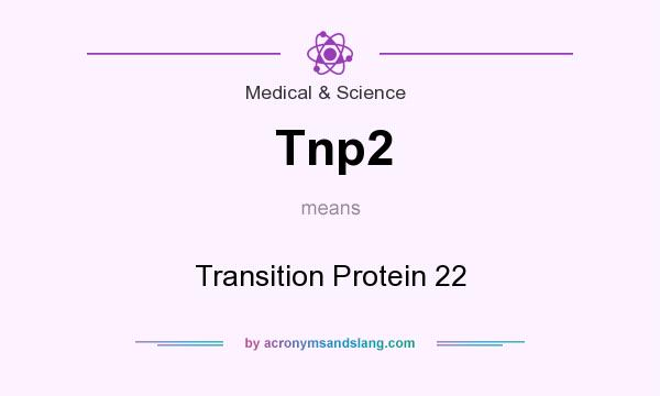 What does Tnp2 mean? It stands for Transition Protein 22