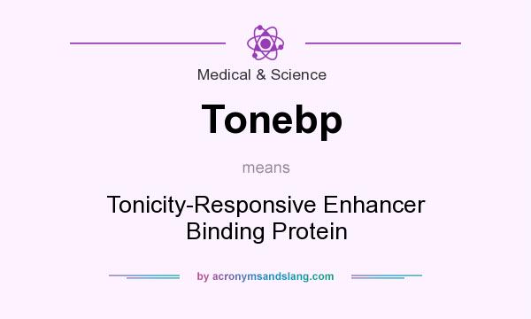What does Tonebp mean? It stands for Tonicity-Responsive Enhancer Binding Protein
