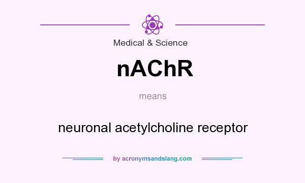 What does nAChR mean? It stands for neuronal acetylcholine receptor