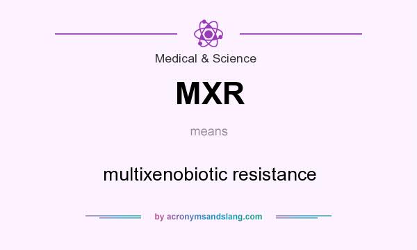 What does MXR mean? It stands for multixenobiotic resistance