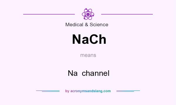 What does NaCh mean? It stands for Na  channel