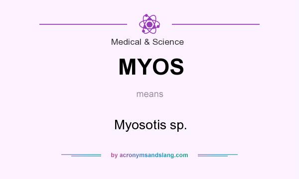 What does MYOS mean? It stands for Myosotis sp.