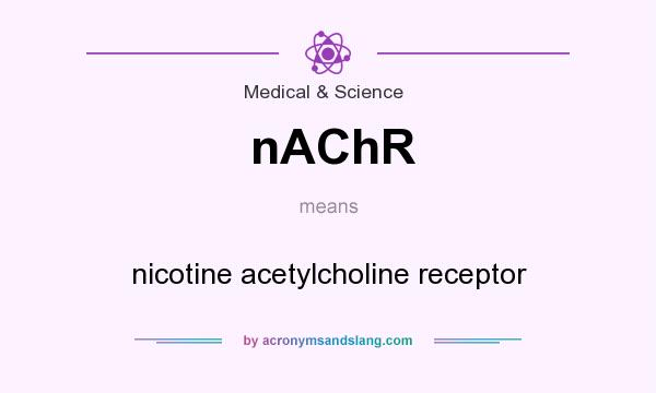 What does nAChR mean? It stands for nicotine acetylcholine receptor