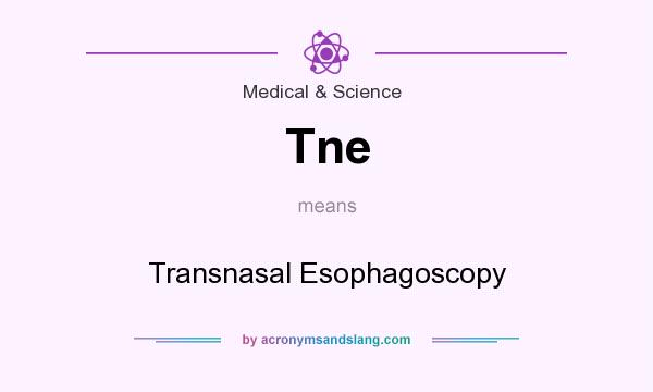 What does Tne mean? It stands for Transnasal Esophagoscopy