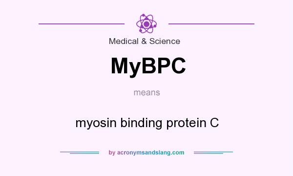 What does MyBPC mean? It stands for myosin binding protein C
