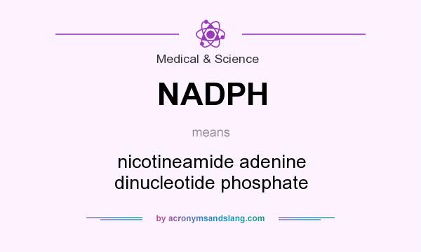 What does NADPH mean? It stands for nicotineamide adenine dinucleotide phosphate