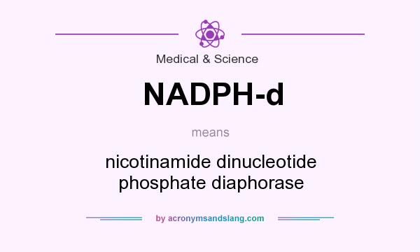 What does NADPH-d mean? It stands for nicotinamide dinucleotide phosphate diaphorase