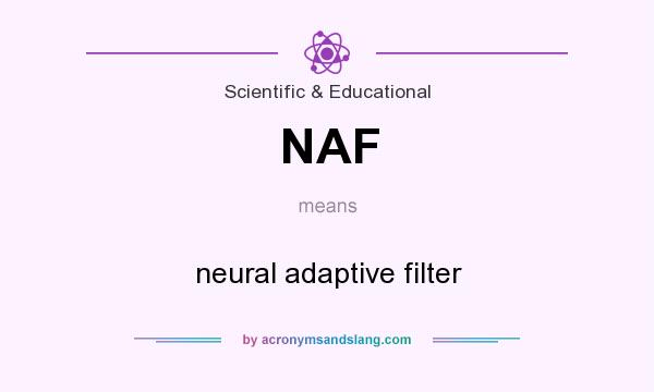 What does NAF mean? It stands for neural adaptive filter