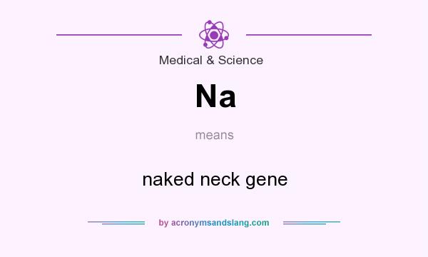 What does Na mean? It stands for naked neck gene