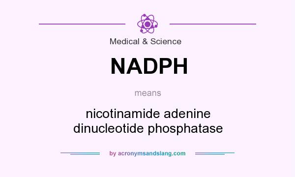 What does NADPH mean? It stands for nicotinamide adenine dinucleotide phosphatase