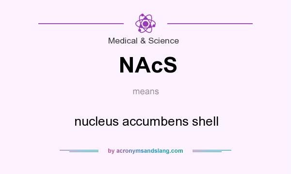 What does NAcS mean? It stands for nucleus accumbens shell